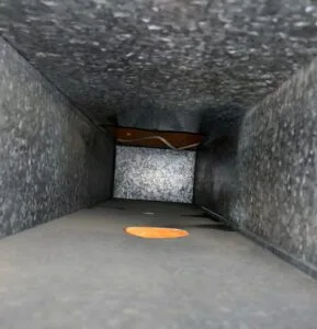 Trapped in the air duct system, where they can wreak havoc for years on end. This is just one of many reasons why air duct cleaning is so important for your health and well being.
