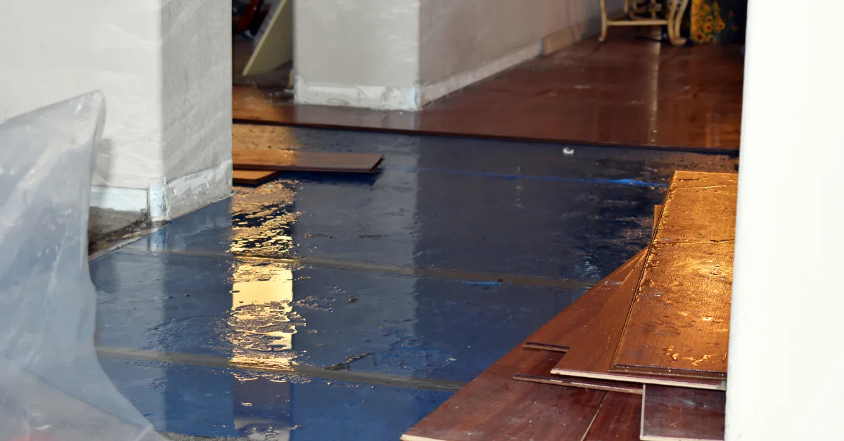 Home Water-Damage-in-Home