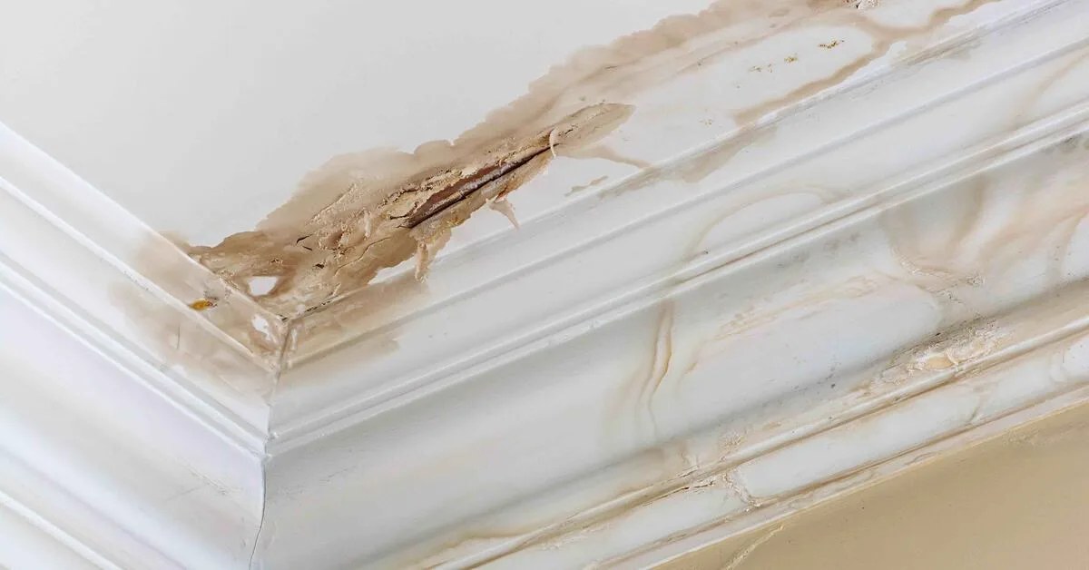 Home Peeling paint on an interior ceiling a result of water damage caused by a leaking pipe a result of substandard plumbing completed by an unqualified plumber. A common house insurance claim.