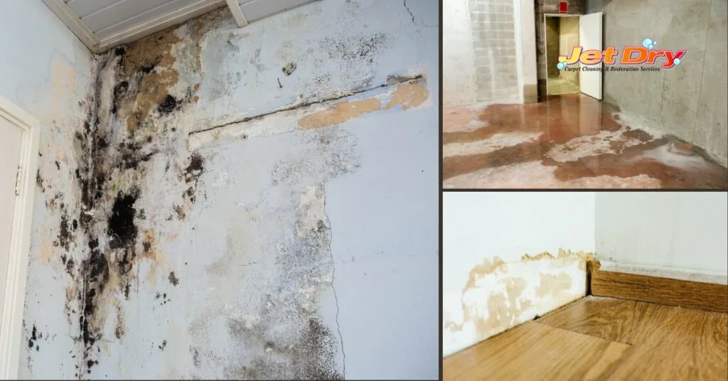 Water Damage Coverage