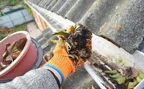 clean gutters and downspouts